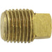 Pipe Plugs (Square Head) 1/8" NPT (M) - 41.670