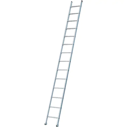 Industrial Heavy-Duty Extension/Straight Ladders - 3108D