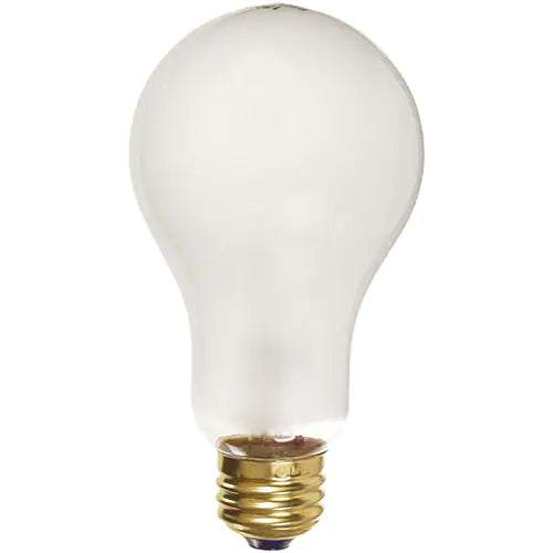 Economy Line Incandescent Lamps - XC563