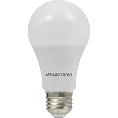LED Bulb - 79291